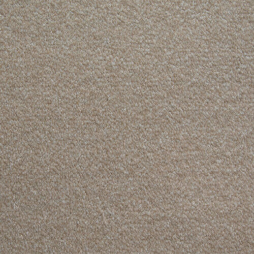 Fantastic Oatmeal Carpet