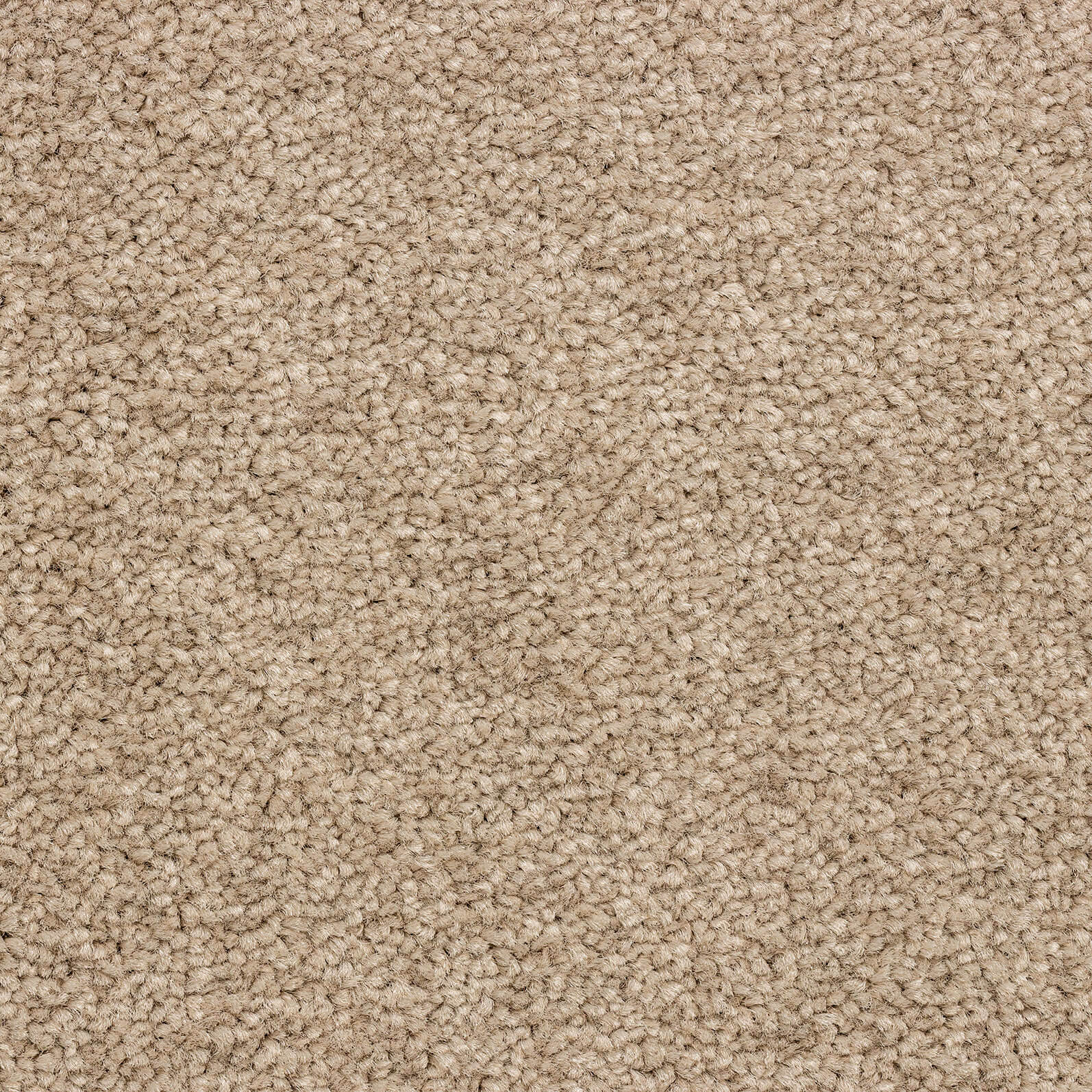 Hayesville - Beige