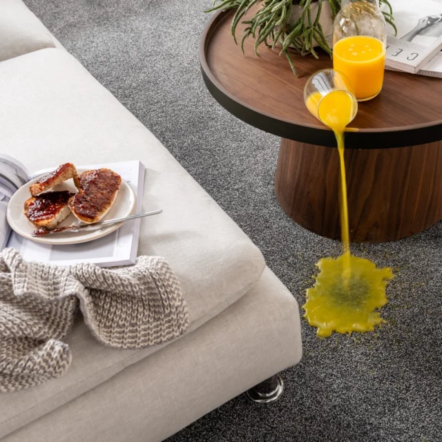 Life’s little accidents are inevitable in busy homes. 🫗
 
Whether you've spilled coffee, orange juice, or wine, there’s no need to fret with Kingsmead’s Devotion carpet on your floor. 

Made from 100% polypropylene, this practical, bleach-cleanable carpet range is suitable for heavy domestic areas and has a lifetime stain warranty. Perfect for busy, modern homes. 

Check out the full choice of twelve decors and order up to five free samples today via the link in our bio.📬

#kingsmeadcarpets #polypropylene #bleachcleanable #familylife