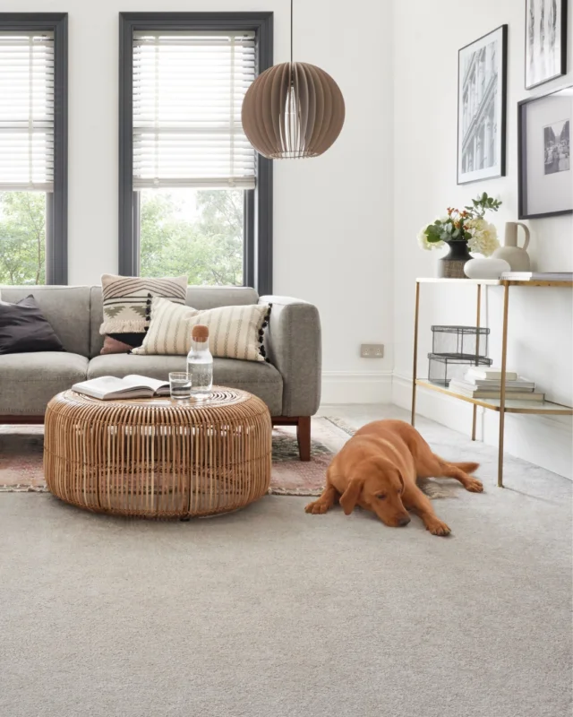 Freshen up your home with this luxurious addition.

Our Bliss carpet range is plush and silky, creating a warm and comfortable feel underfoot.

Available in 13 versatile décor choices, the heavy domestic nature and bleach cleanable feature of the product makes it well suited to homes with young children and pets.

Visit our website to see the full collection and order free samples via the link in our bio. 

📷 Bliss - Frosted Steel
#kingsmeadcarpets #softcarpet #neutralcarpet #easyclean